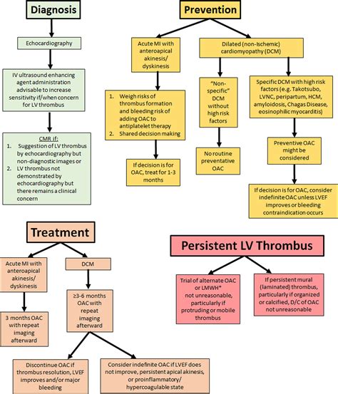 lv thrombus noac|left ventricular thrombus risk assessment.